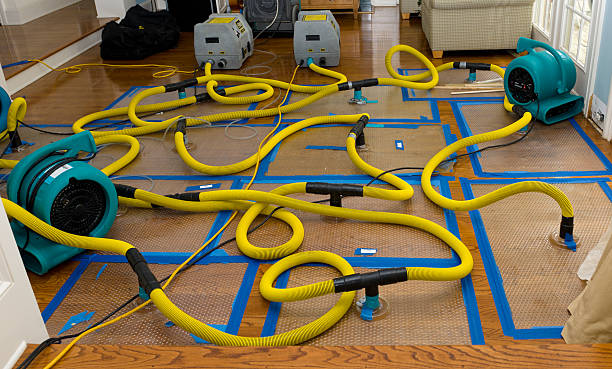 Professional Burst Pipe Water Damage technician working in Otterville, MO